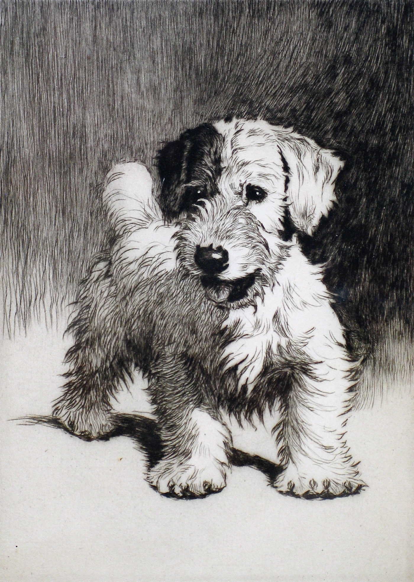 Cecil Aldin Valuation We Buy Paintings & Etchings Seen on BBC TV