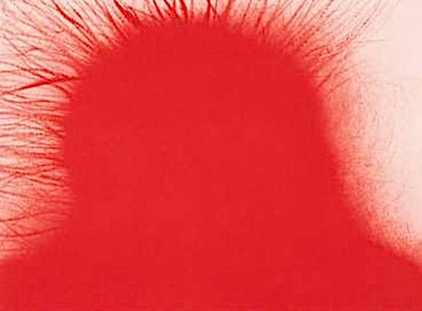 Anish Kapoor - We Buy and Sell Etchings, Silkscreens, lithographs at Robert Perera Fine Art